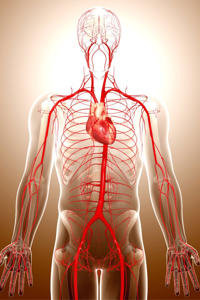 Revival Clinic | What is your inflammation level?