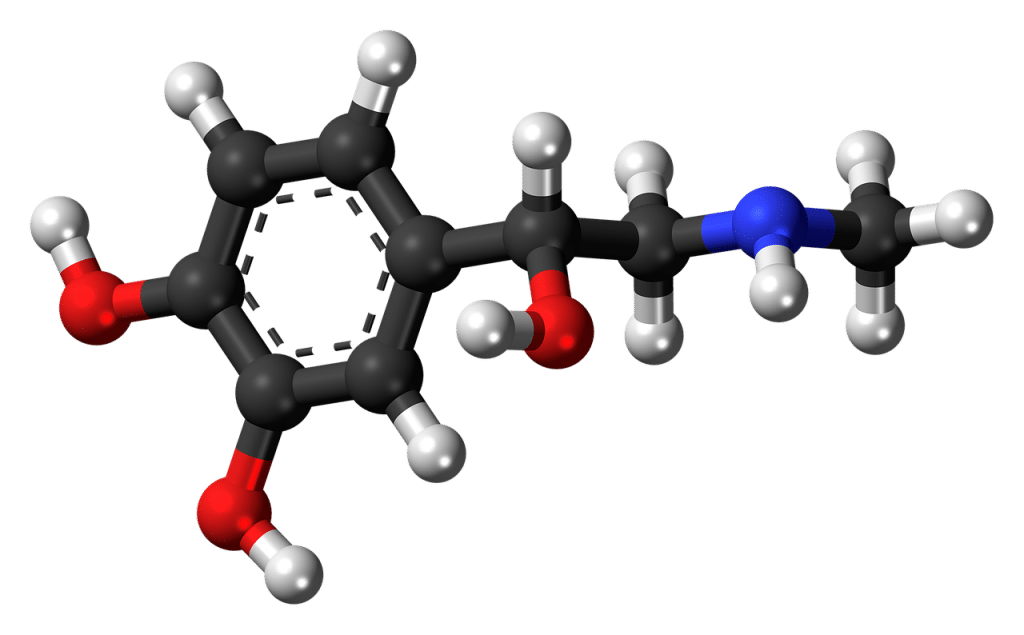 Revival Clinic | Unlocking the Signs: How to Spot Insulin Resistance Early